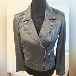 EVER NEW Genuine Leather Moto Jacket